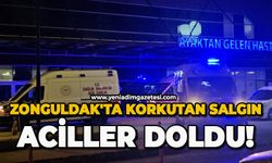 Zonguldak'ta korkutan salgın: Aciller doldu!