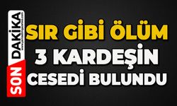 Sır gibi ölüm: 3 kardeş ölü bulundu