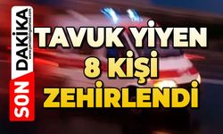 Tavuk yiyen 8 kişi zehirlendi