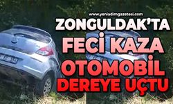 Zonguldak'ta köy yolunda feci kaza: Otomobil dereye uçtu