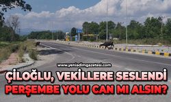 Çiloğlu, vekillere seslendi: Perşembe yolu can mı alsın?