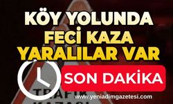 Köy yolunda feci kaza: Yaralılar var