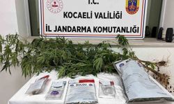 1 kilo esrar ele geçirildi