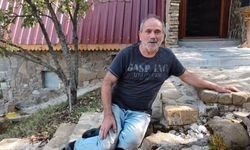 Bahçesine gelen tilki ile dost oldu