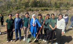 Düzce ile Kamerun arasında dostluk için hatıra ormanı