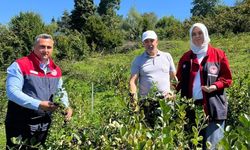 Düzce'de üretiminde yeni hedef katma değerli ürünler