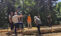 Ormancılık faaliyetlerine saha denetimi