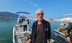 Palamut bolluğu: Tanesi 75 TL'ye satılıyor