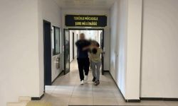 Terör örgütü El Kaide operasyonu: 5 tutuklama