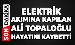 Elektrik akımına kapılan Ali Topaloğlu hayatını kaybetti
