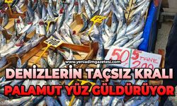 Denizlerin taçsız kralı palamut yüz güldürüyor
