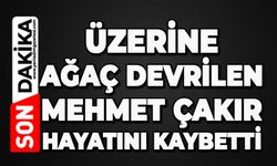 Üzerine ağaç devrilen Mehmet Çakır hayatını kaybetti