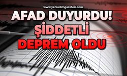 AFAD duyurdu! Şiddetli deprem oldu