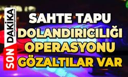 Sahte tapu dolandırıcılığı operasyonu: Gözaltılar var