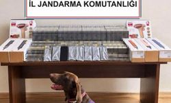 Yolcu otobüsünde kaçak ürün ele geçirildi