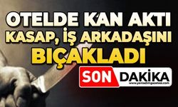 Kasap iş arkadaşını bıçakladı