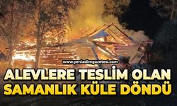Alevlere teslim olan samanlık küle döndü
