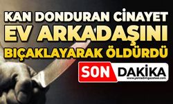 Ev arkadaşını bıçaklayarak öldürdü