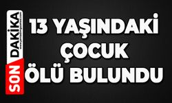13 yaşındaki çocuk ölü bulundu