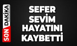 Sefer Sevim hayatını kaybetti