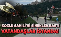 Kozlu Sahili’ni sinekler bastı: Vatandaşlar isyanda!