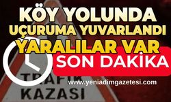 Köy yolunda şarampole yuvarlandı: Yaralılar var
