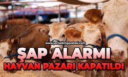 Kastamonu'da canlı hayvan pazarları kapatıldı