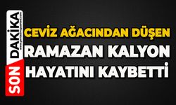 Ceviz ağacından düşen Ramazan Kalyon hayatını kaybetti