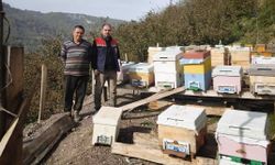 4 köyde arılı kovan sayımı yapıldı