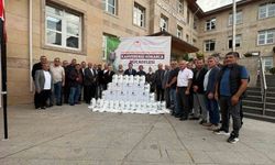 Akçakoca'da kokarca alarmı