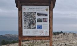 Ballıdağ, ekoturizm ve atlı yürüyüş parkuruyla tekrar canlandırılacak