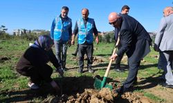 Darıca'da Zeytin Festivali kapsamında 100 fidan dikildi