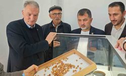 Fındık alım çalışmaları yerinde incelendi