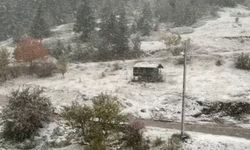 Kastamonu'da yüksek rakımlı yerleşim yerleri beyaza büründü