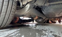 Ticari taksinin altına giren yavru kedi kurtarıldı