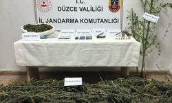Uyuşturucu operasyonu: 2 gözaltı