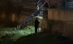 Vinçle kurtarılmayı bekleyen eşek sahibine koştu
