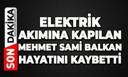 Elektrik akımına kapılan Mehmet Sami Balkan hayatını kaybetti
