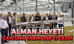 Alman Heyeti Çaycuma Tarım OSB’yi gezdi
