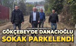 Gökçebey'de Danacıoğlu Sokak parkelendi