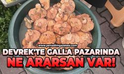 Devrek'te galla pazarında ne ararsan var!