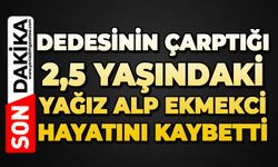 Dedesinin çarptığı 2,5 yaşındaki Yağız Alp Ekmekci hayatını kaybetti