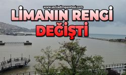 Zonguldak'ta sağanak yağış limanın rengini değiştirdi