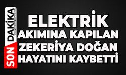 Elektrik akımına kapılan Zekeriya Doğan hayatını kaybetti