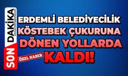 Erdemli belediyecilik köstebek yuvasına dönen yollarda kaldı!