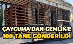 Çaycuma'dan Gemlik'e 100 tane gönderildi