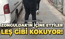 Zonguldak'ın içine ettiler: Leş gibi kokuyor!