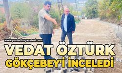 Vedat Öztürk Gökçebey'i inceledi