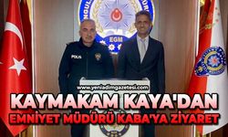 Kaymakam Kaya'dan Emniyet Müdürü Kaba'ya ziyaret