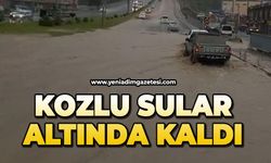 Kozlu sular altında kaldı